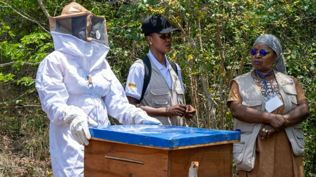 Imker in Mosambik, die im Rahmen eines Terre des Hommes Projekts ausgebildet werden.