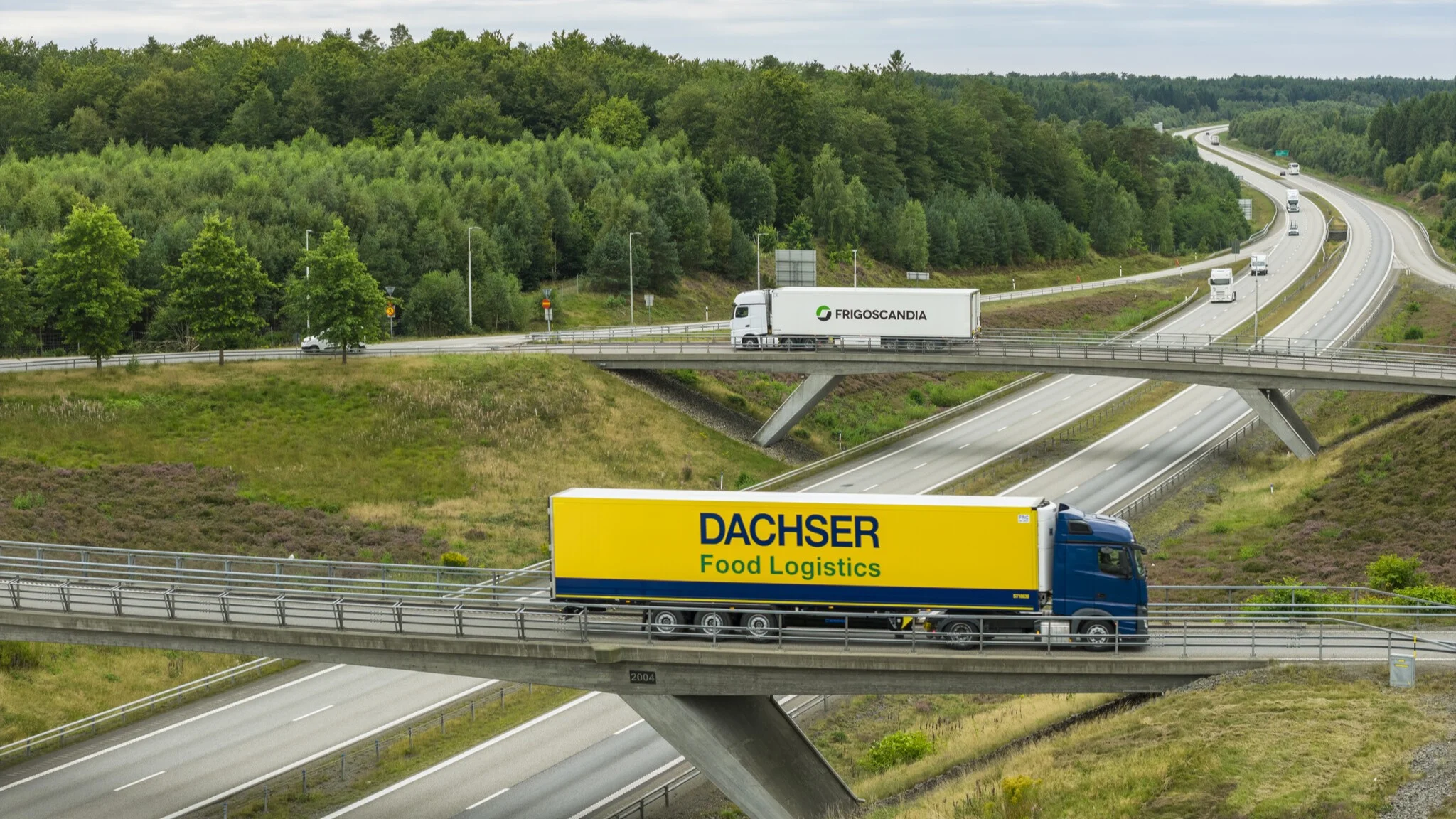 Lkw von DACHSER Food Logistics und Frigoscandia fahren auf zwei Autobahnbrücken durch eine bewaldete Landschaft.